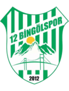 12 Bingöl Spor Kulübü