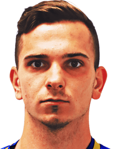 Viktor Kanižaj